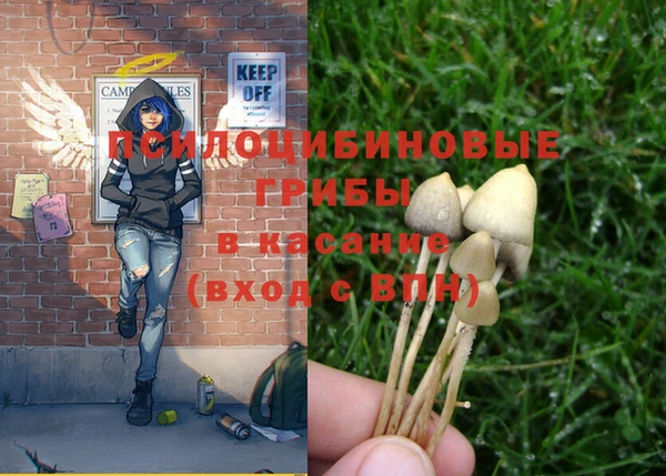 ГАЛЛЮЦИНОГЕННЫЕ ГРИБЫ Вязники