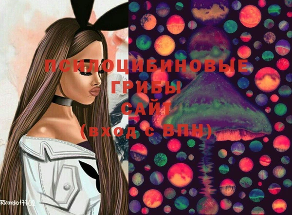 ГАЛЛЮЦИНОГЕННЫЕ ГРИБЫ Вяземский
