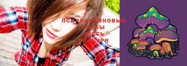 ГАЛЛЮЦИНОГЕННЫЕ ГРИБЫ Вяземский
