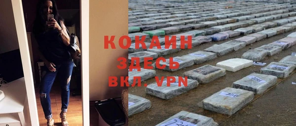 ГАЛЛЮЦИНОГЕННЫЕ ГРИБЫ Вяземский