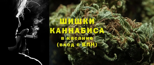 ГАЛЛЮЦИНОГЕННЫЕ ГРИБЫ Вязники