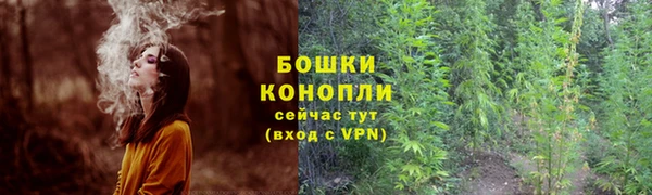 ГАЛЛЮЦИНОГЕННЫЕ ГРИБЫ Вяземский