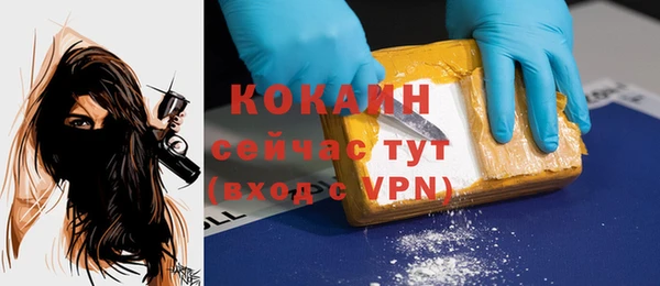 ГАЛЛЮЦИНОГЕННЫЕ ГРИБЫ Вязники