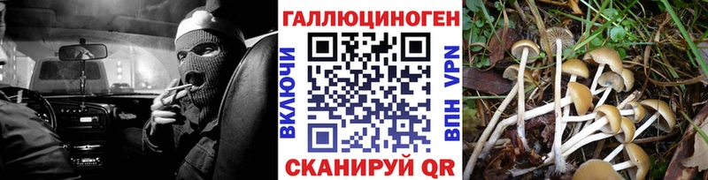 Купить Бавлы Псилоцибиновые грибы мухоморы